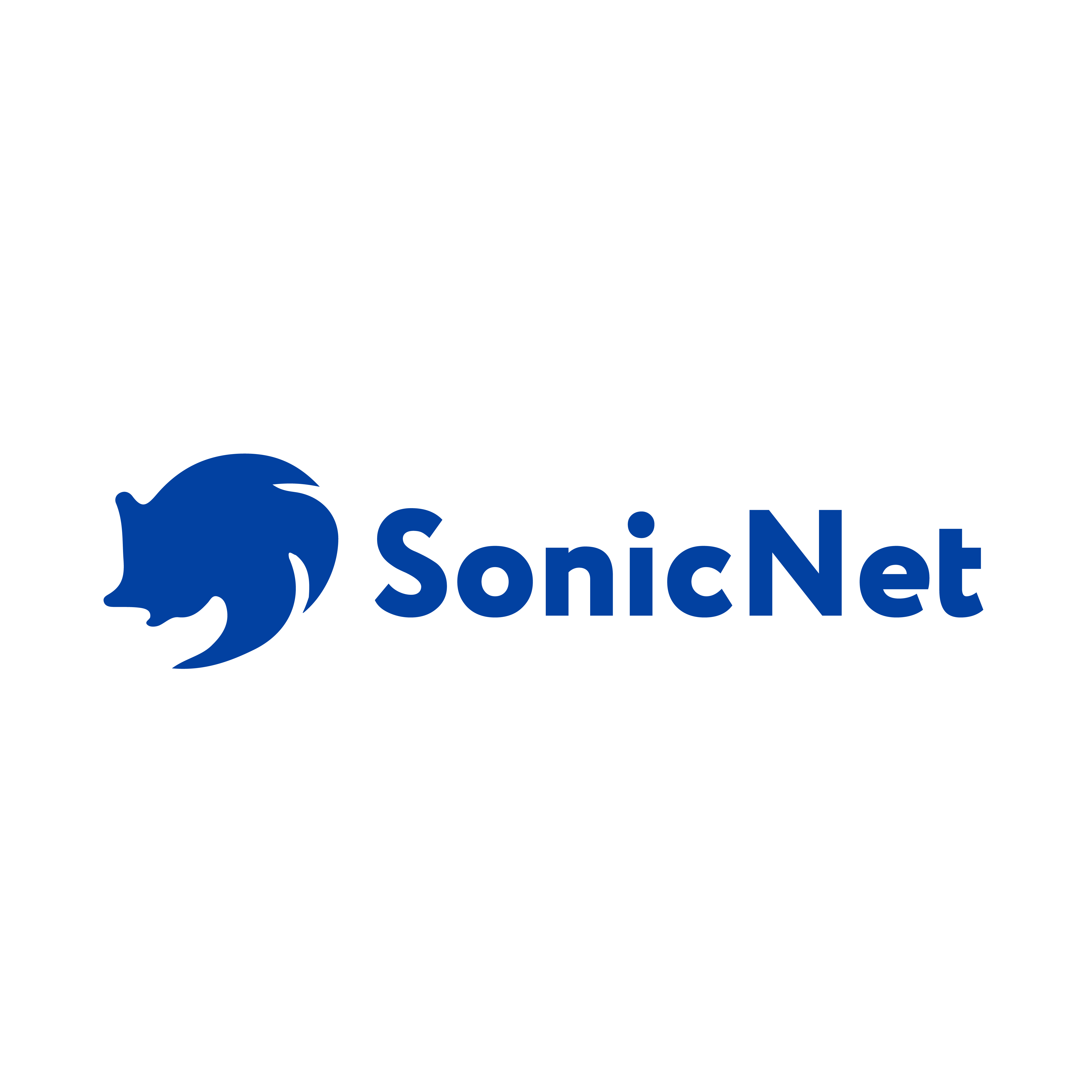 Доступ в сеть интернет от провайдера SonicNet